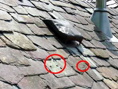 hail damage