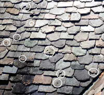 hail damage